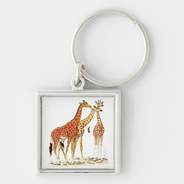 Three Giraffes Illustration Key Ring (Front)