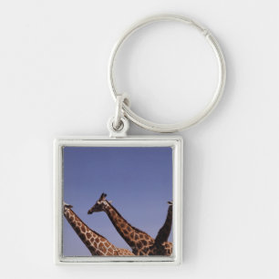 Three giraffes key ring
