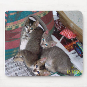 Three girls mouse mat
