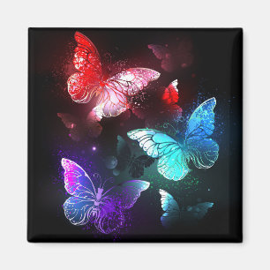 Three Glowing Butterflies on night background Magnet