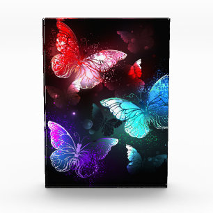 Three Glowing Butterflies on night background Photo Block