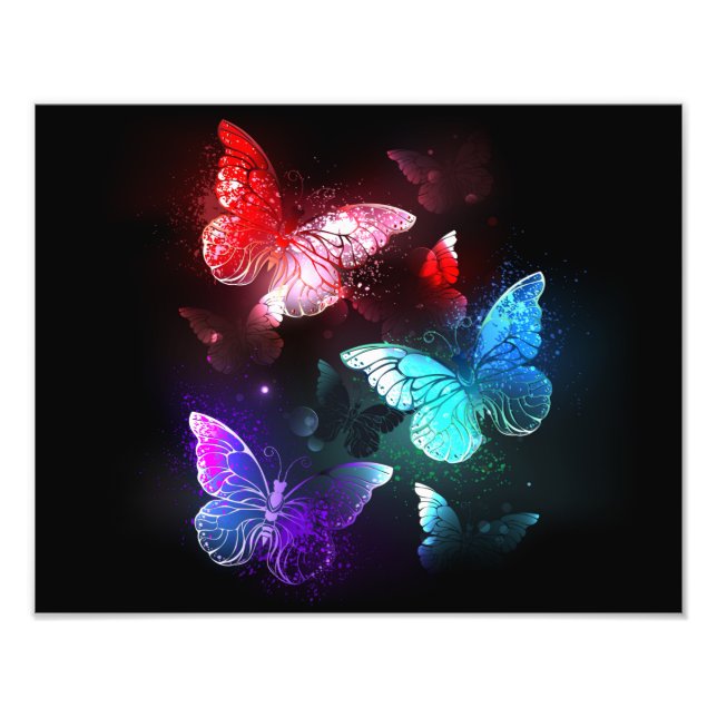 Three Glowing Butterflies on night background Photo Print (Front)