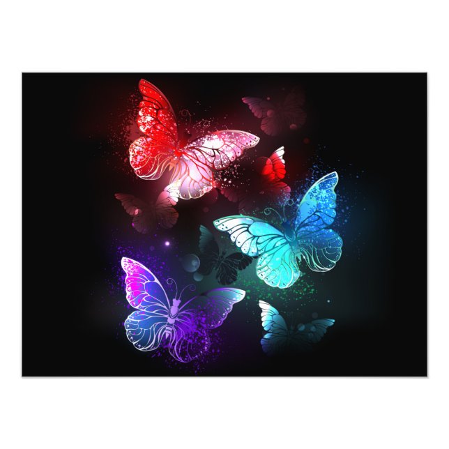 Three Glowing Butterflies on night background Photo Print (Front)