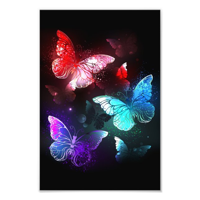 Three Glowing Butterflies on night background Photo Print (Front)