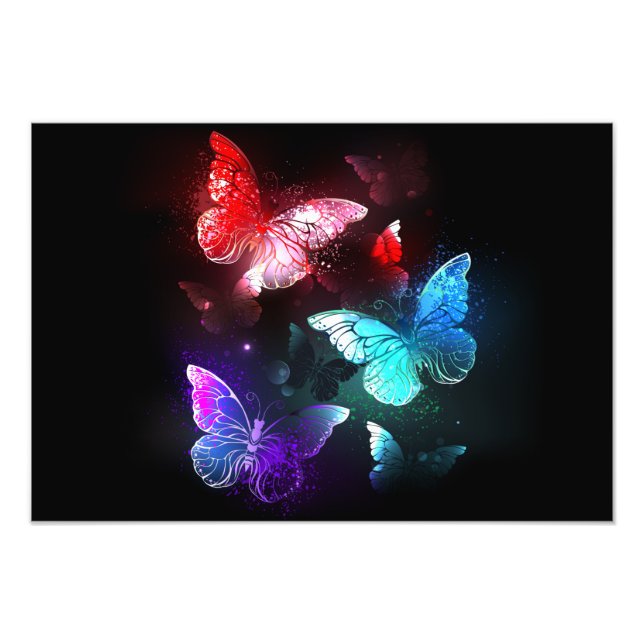 Three Glowing Butterflies on night background Photo Print (Front)