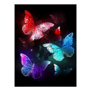 Three Glowing Butterflies on night background Poster