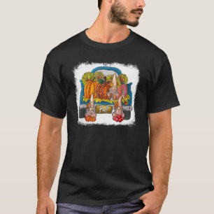 Three Gnomes Pumpkin Leopard Sunflower Truck Farm T-Shirt