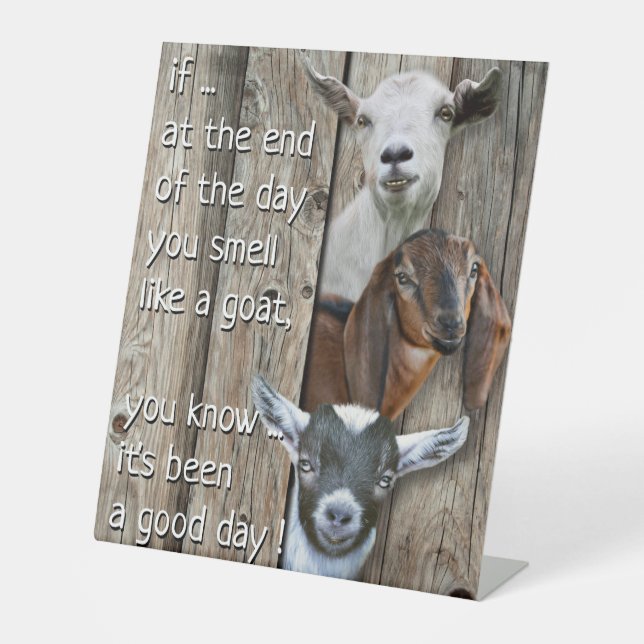 Three Goat Portrait  Cute Goat Poem  Pedestal Sign (Front)