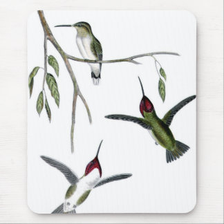 Three Green Hummingbirds Mouse Mat