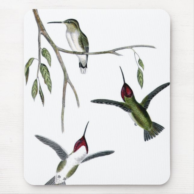 Three Green Hummingbirds Mouse Mat (Front)
