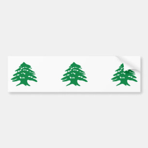 THREE Green Lebanon Cedar Tree Bumper Sticker