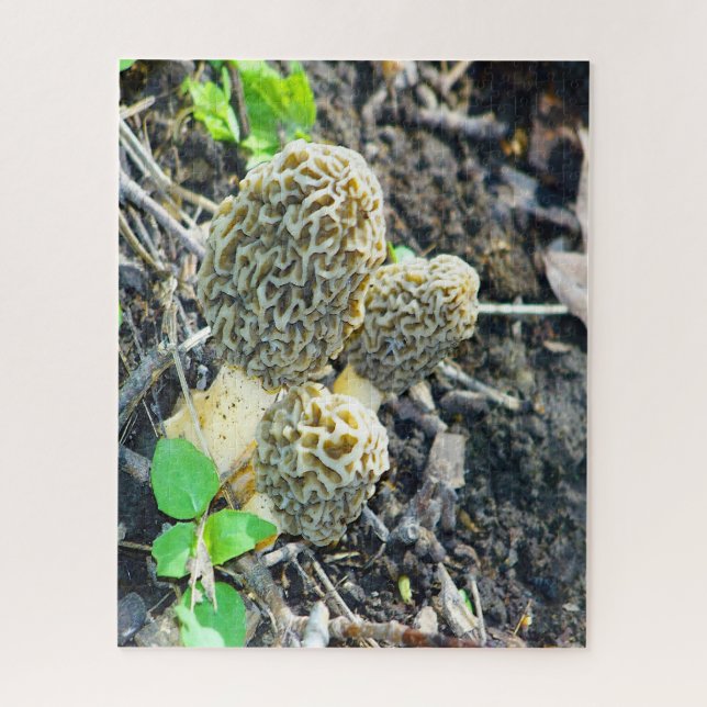Three Grey Morel Mushrooms Sitting in the Woods Jigsaw Puzzle (Vertical)