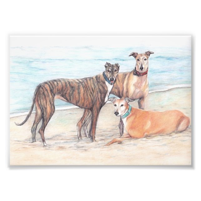 Three Greyhound Dog Art Phoo Print (Front)