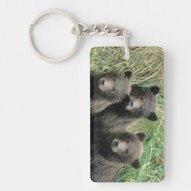 Three Grizzly Bear Cubs or Coys Key Ring (Front)