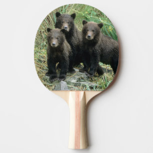 Three Grizzly Bear Cubs or Coys Ping Pong Paddle