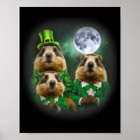 Three Groundhog Moon 3 Groundhog Day Head St Patri