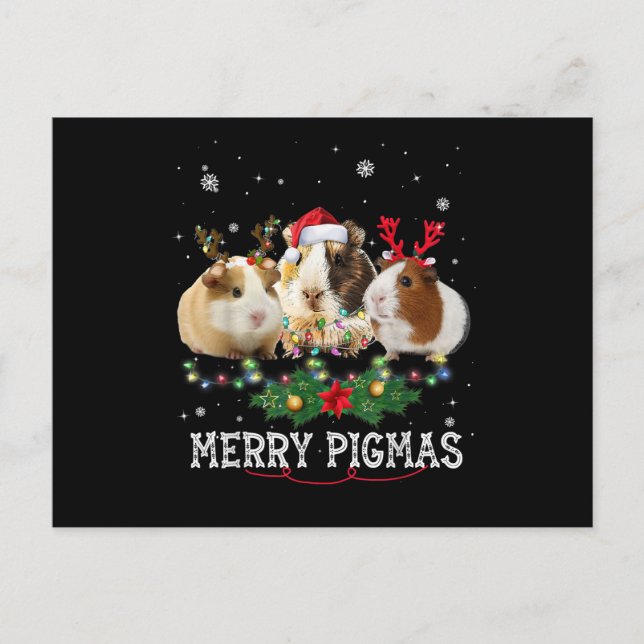 Three Guinea Pig Christmas Lights Santa Hat Postcard (Front)