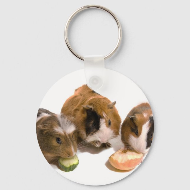 three guinea pigs who eat, key ring (Front)