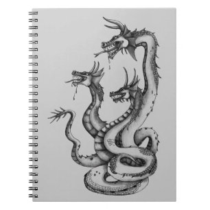 Three Headed Hydra Design Notebook