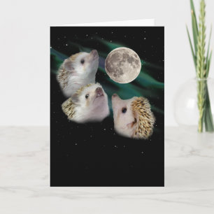 Three Hedgehog Moon Greeting Card