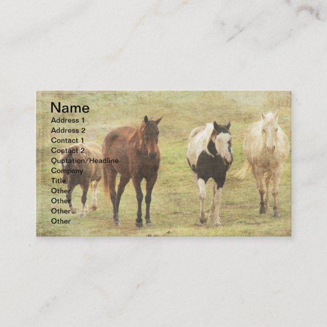 Three Horses and A Pony Business Card (Front)
