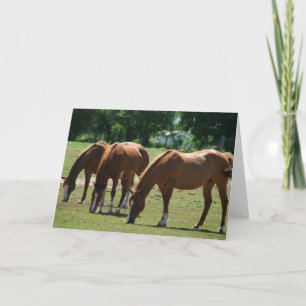 Three horses card