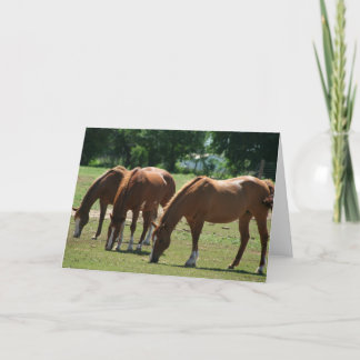 Three horses card
