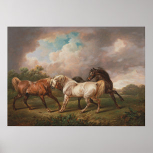 Three Horses in a Stormy Landscape Poster
