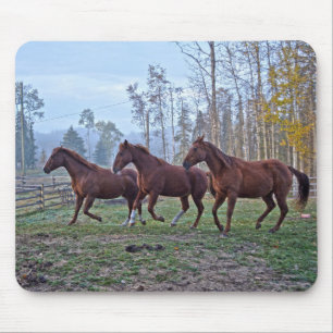 Three Horses Moving As One Horse-lover Photo Gift Mouse Mat