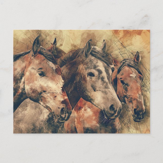 three horses postcard (Front)