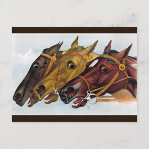 three horses postcard
