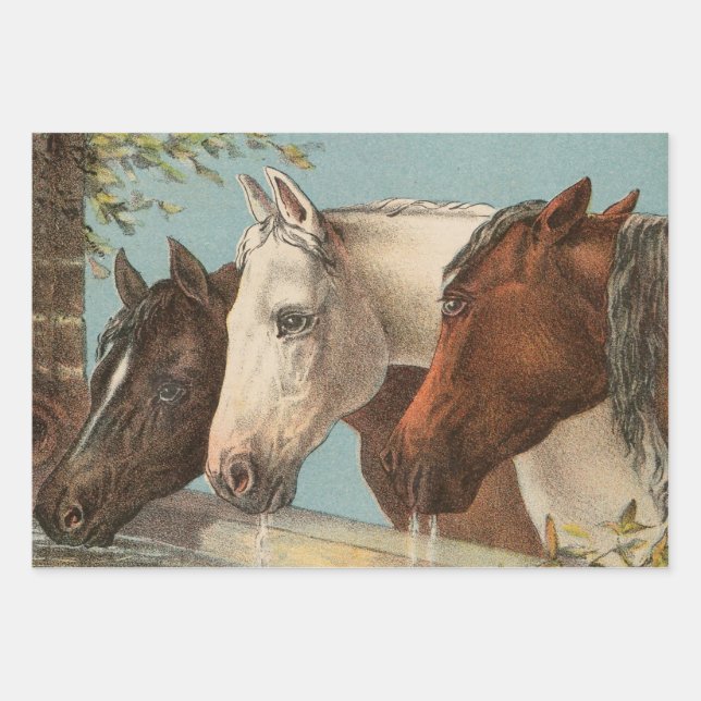 Three horses vintage illustration wrapping paper sheet (Front)