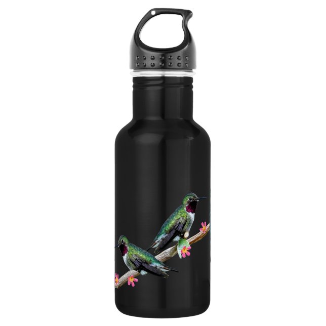 Three Hummingbirds perched on a branch of a Floss  532 Ml Water Bottle (Front)