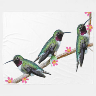 Three Hummingbirds perched on a branch of a Floss Fleece Blanket