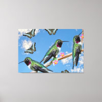 Three Hummingbirds perching on a branch Floss Silt