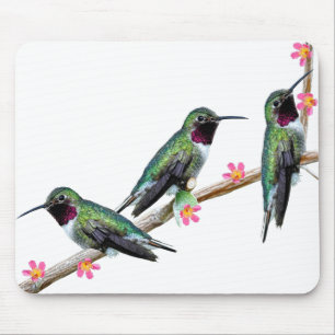 Three Hummingbirds perching on a branch Floss Silt Mouse Mat
