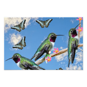 Three Hummingbirds perching on a branch Floss Silt Photo Print