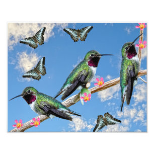 Three Hummingbirds perching on a branch Floss Silt Photo Print