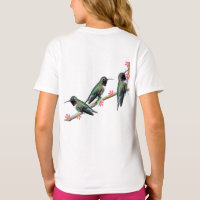 Three Hummingbirds perching on a branch Floss Silt