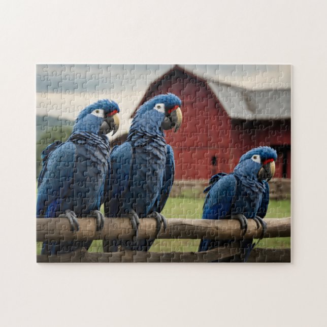 Three  Hyacinth Macaws on fence  Jigsaw Puzzle (Horizontal)
