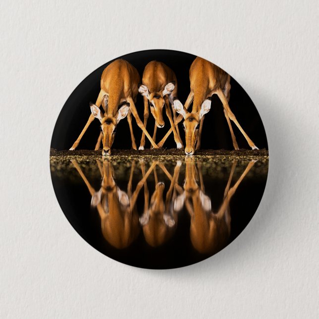Three Impala Drink Together at Night 6 Cm Round Badge (Front)