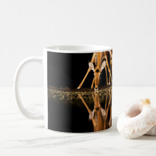 Three Impala Drink Together at Night Coffee Mug