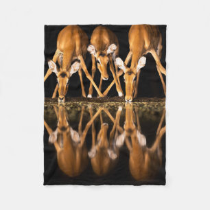 Three Impala Drink Together at Night Fleece Blanket