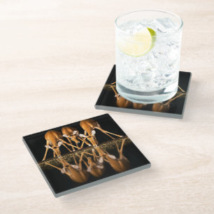 Three Impala Drink Together at Night Glass Coaster
