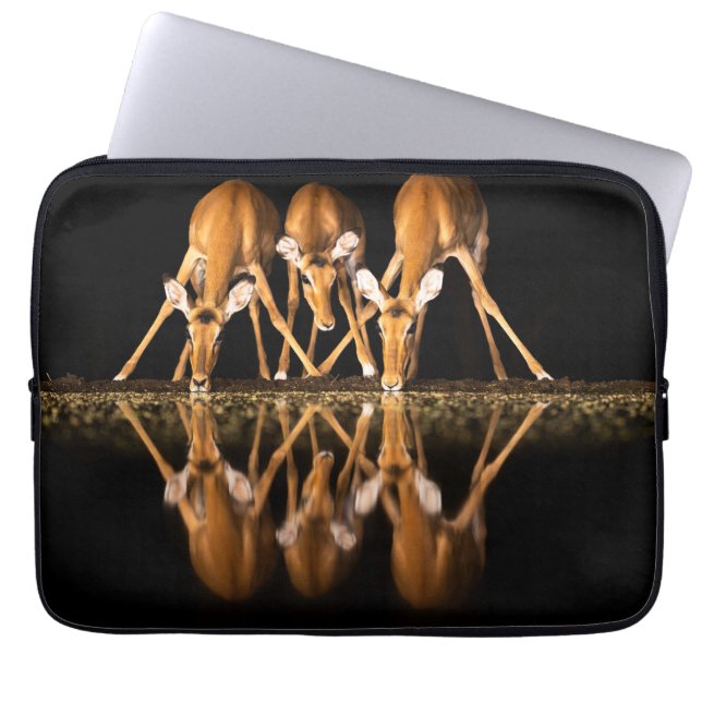 Three Impala Drink Together at Night Laptop Sleeve (Front)