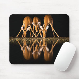 Three Impala Drink Together at Night Mouse Mat