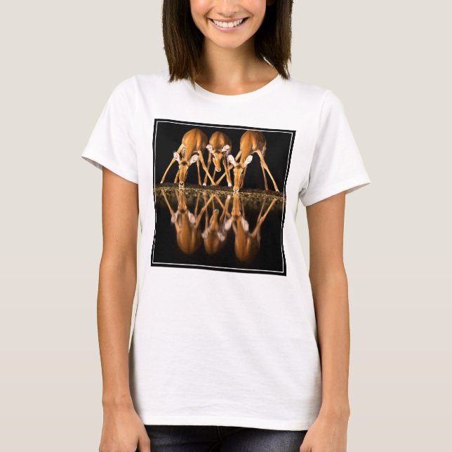 Three Impala Drink Together at Night T-Shirt (Front)