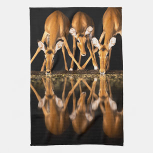 Three Impala Drink Together at Night Tea Towel