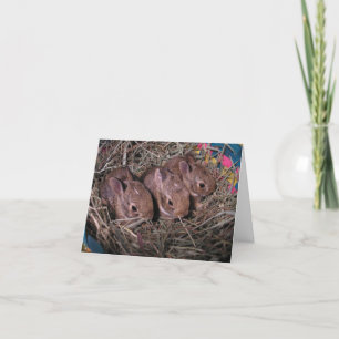 Three In A Row  Thank You Card