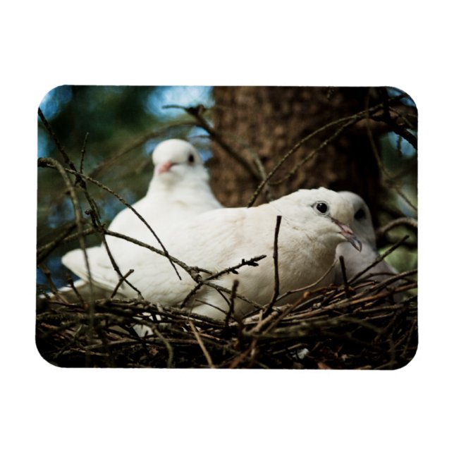 Three in a Tree Magnet (Horizontal)